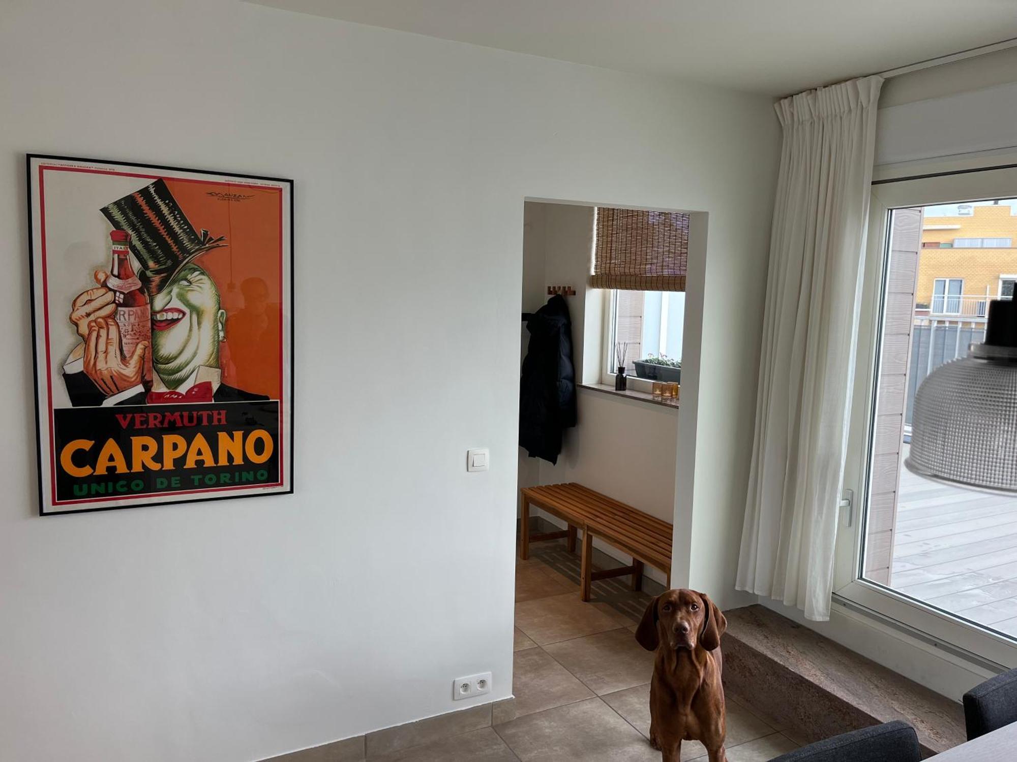Penthouse 29 Apartamento Ostend Exterior foto